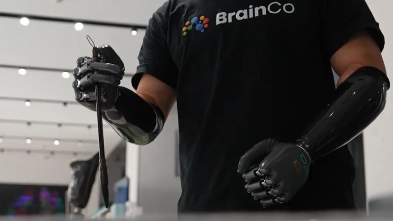 软件测试流程：揭秘高效测试的五大关键环节