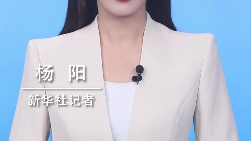 开源机器学习平台与商业平台：如何选择合适的解决方案